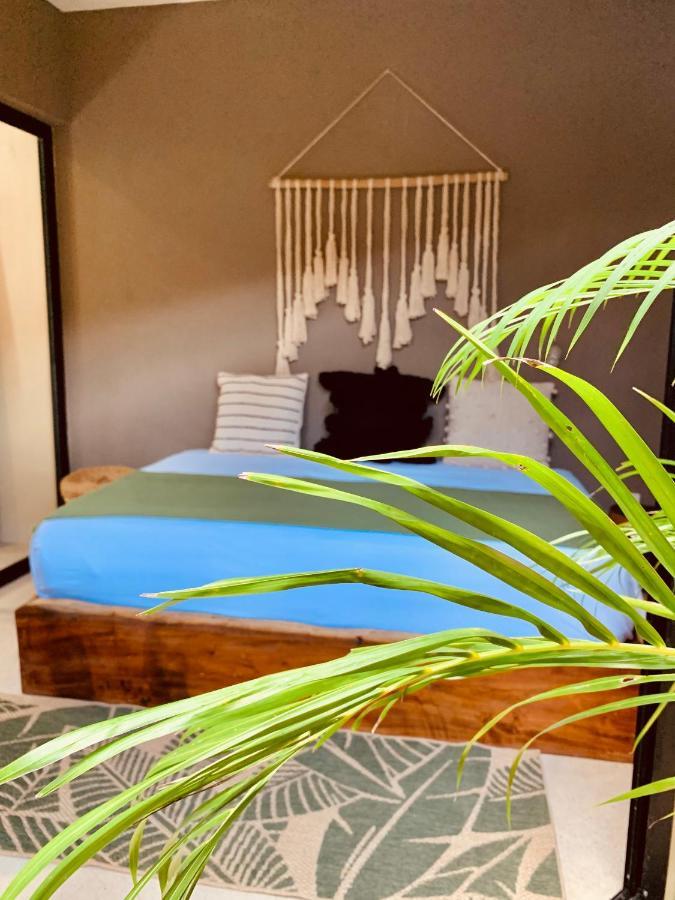 Vida Jungle Apart 1 With Special Fee To Access Hotel Bardo トゥルム エクステリア 写真