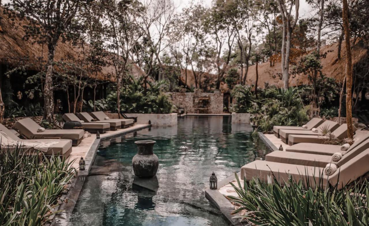 Vida Jungle Apart 1 With Special Fee To Access Hotel Bardo トゥルム エクステリア 写真